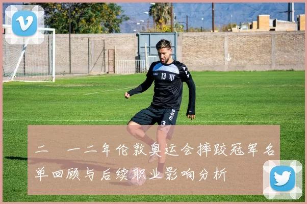 二〇一二年伦敦奥运会摔跤冠军名单回顾与后续职业影响分析
