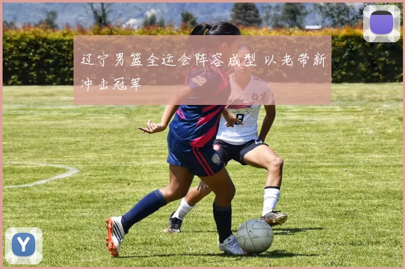 辽宁男篮全运会阵容成型 以老带新冲击冠军