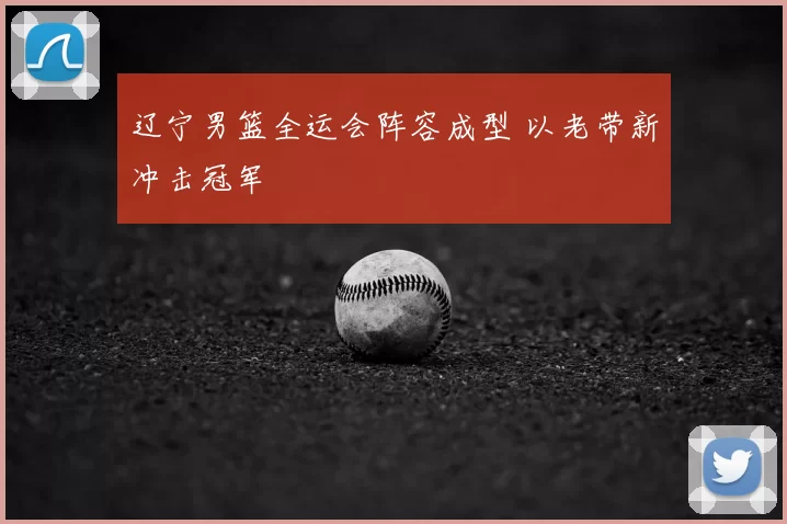 辽宁男篮全运会阵容成型 以老带新冲击冠军