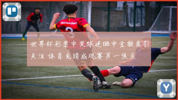 世界杯彩票中奖球迷晒中金额度引关注 体育竞猜成观赛另一焦点