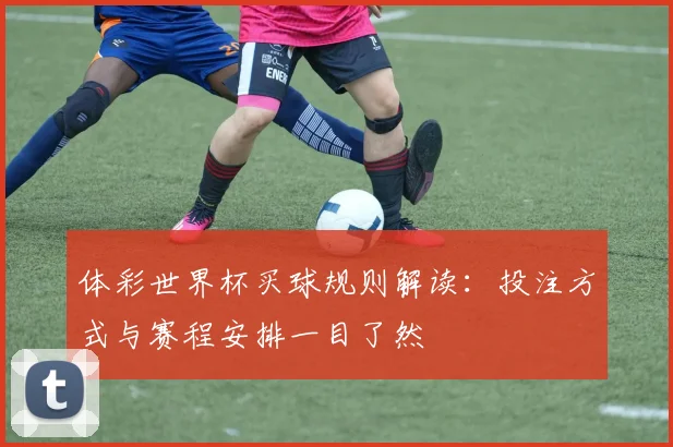 体彩世界杯买球规则解读：投注方式与赛程安排一目了然